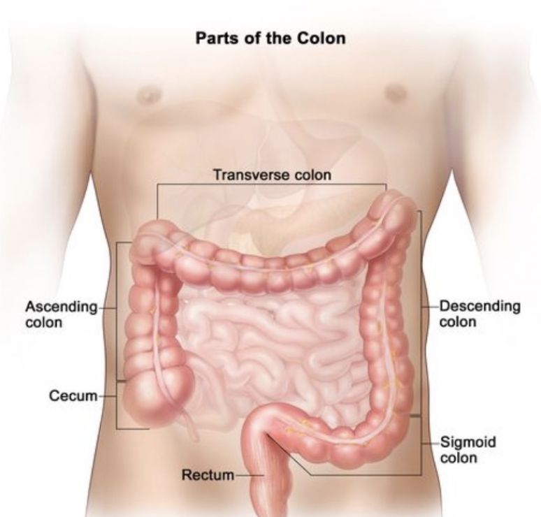 Colon Broom Side Effects